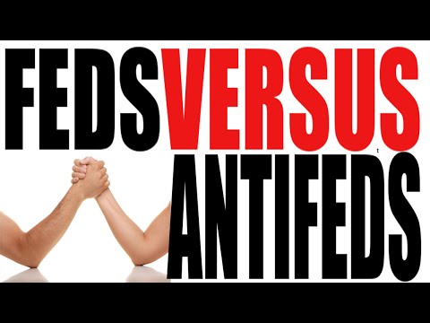 Why did federalists favor the constitution?