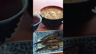 京都・南区「食堂かどや」名物豚汁