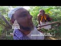 munshi on bjp hartal in kerala today 14 dec 2018