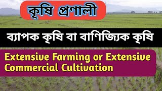 ব্যাপক কৃষি বা বাণিজ্যিক কৃষি।। Extensive Farming for Extensive Commercial Cultivation