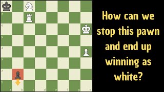 This study is not easy, white wins!