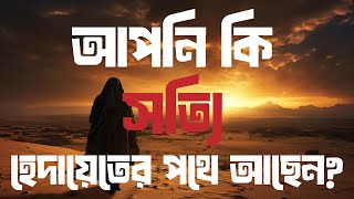 আপনি কি সত্যি হেদায়েতের পথে আছেন। #হেদায়েত#আল্লাহরপথ#তাওবা#আত্মজিজ্ঞাসা #ইসলামিকউপদেশ#কুরআন #সুন্নাহ
