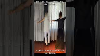 danza del taichichuan de a dos - 2