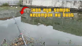 CASTING GABUS MENGGUNAKAN SOFROK 3 CM!!  ikan ya sampai terbang ku buat#fishing #mancing #gabus