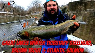 Great Lakes Winter Steelhead, Brown Trout \u0026 Atlantic Salmon Fishing