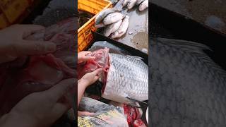 wow 2.5KG Catla Fish Egg|#shorts #youtubeshorts #viral