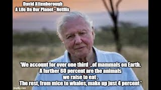 David Attenborough. Mice to Whales make up just 4% of the mammals on Earth