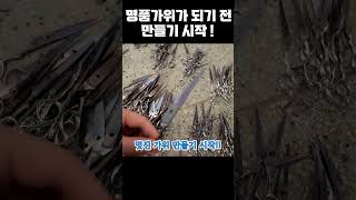 [가위쟁이 #66]  초라하지만 곧 명품이 될 가위들#미용가위 #가위쟁이미스터조 #shorts