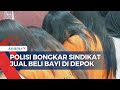 Polisi Bongkar Sindikat Penjualan Bayi Antar Pulau Via Medsos di Depok, Satu Bayi Rp 45 Juta