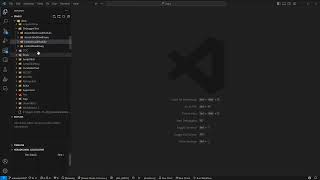 Aira Force 0.8 source level debugging