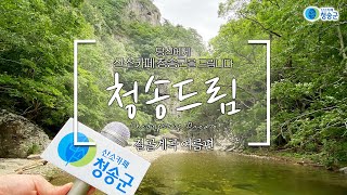 청송드림ㅣ🔔띵동😄청송의 맑은 산소가 도착했습니다🎁🤲 청송 절골계곡 여름편