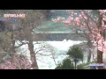 滝上芝桜まつり 「北海道 滝上町」