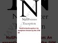NullPointer Exception