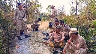 Assam Forest Duty inside the Jungle | Manas National Park Assam | Wildlife with Sunil