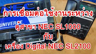 การนำโทรศัพท์ Digital NEC SL2100 มาใช้งานกับตู้สาขา NEC SL1000