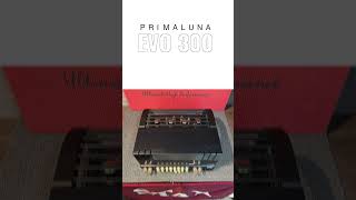 PRIMALUNA EVO 300 USATO | amplificatore integrato valvolare #hifi #perte