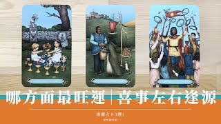 三選一｜入夏運勢如何？把握旺運時刻｜財運亨通💰左右逢源｜無時間限制 Timeless｜塔羅占卜