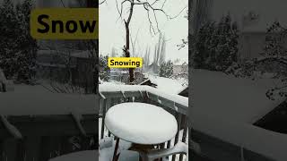 #snowing #shortvideo #highlights #everyone #friends  #view