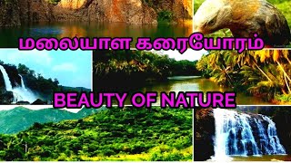 Malayala Karaiyoram Song #nature #greenery #landscape #youtube #kanyakumari #village