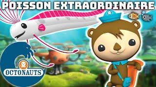 Octonauts - 🐠 Poisson Extraordinaire 🐟 | Dessins animés pour enfants