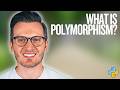 Python Day 114: Polymorphism in Python