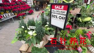 节日前，闲逛花店 - sheridan nurseries