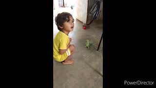 கிளி கூட விளையாட வாங்க🦜🥰#Parrot🦜🥰 #Thashvanth #Toddler #Birdslover #பச்சைக்கிளி @Thashvanthvlogs