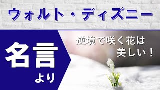 【モチベーションをあげる名言】逆境の中で咲く花は…：ウォルト・ディズニーの名言より