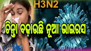 ଚିନ୍ତା ବଢ଼ାଉଛି ନୂଆ ଭାଇରସ | ଓଡିଶାରୁ ୫୯ ଜଣ H3N2 ଆକ୍ରାନ୍ତ #pratidinaodisha