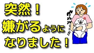 【犬 嫌がる】愛犬が嫌がる原因と対処法【犬のしつけ＠横浜】byドッグトレーナーエマ