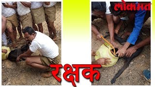 फक्त माणसांचेच नाही तर मुक्या जीवांचेही रक्षक आहेत पोलीस | Police helpline | Lokmat News