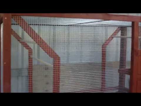 How to build a bird aviary How to build a bird aviary