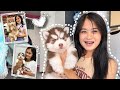 FINALLY! I Got A New Puppy! | Vlogmas ‘22 Day 7 | Sai Datinguinoo