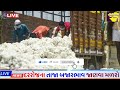 kapas na bhav 27 01 2025 કપાસના ભાવ 2024 information about cotton crop price commodity trend