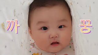 토실토실 흰둥이 아기 👶🏻 | 엄마와 까꿍놀이