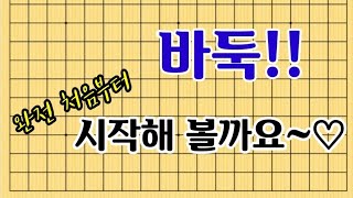 [입문1회] 바둑을 배우기 전에~