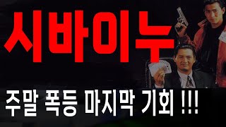 시바이누 코인 주말 폭등 마지막 기회 옵니다!