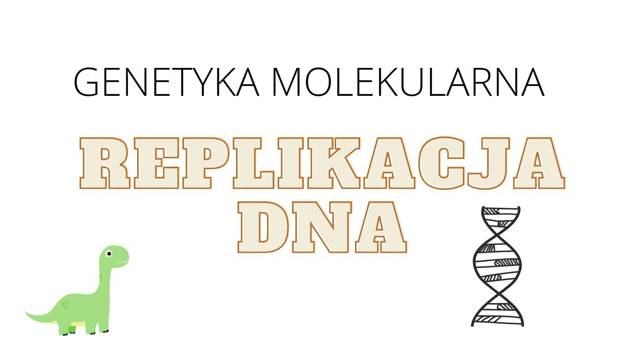 Genetyka Molekularna- Replikacja DNA - YouTube