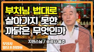 부처님 법대로 살아가지 못한 까닭은 무엇인가_지현스님 [무상사 일요초청법회]