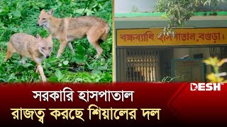 হাসপাতাল যেন নিজেই রোগী | Bogura Hospital | Desh TV