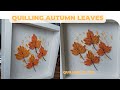 Quilling Autumn Leaves #quilling #quillingart #diy #diycrafts #quillingpaper #autumn