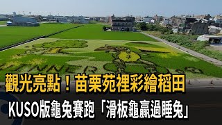 觀光亮點！苗栗苑裡彩繪稻田　KUSO版龜兔賽跑「滑板龜贏過睡兔」－民視新聞