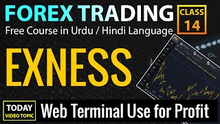 How to use Exness Web Terminal for Good Profit