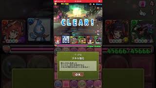 オーディンドラゴン降臨リダチェンマッハ2種類 #パズドラ