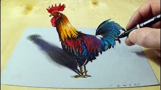 Drawing Rooster Illusion - 3D Trick Art on Paper - By Vamos