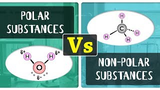 What is the Difference Between Polar and Non - Polar Substances | Chemistry Concepts