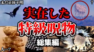 【総集編】未だ正体不明の特級呪物のような謎の巨大生物をカメラが捉えた…【ゆっくり解説】【呪術廻戦】【UMA・未確認生物】