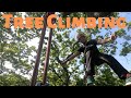 Tree climbing on the Isle of Wight with Goodleaf