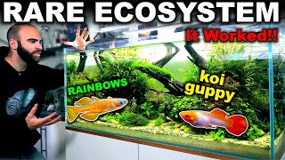 This ECOSYSTEM Aquarium REALLY WORKS!! (no water changes)