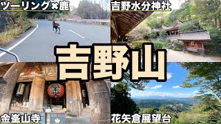 吉野山ツーリング！花矢倉展望台/水分神社/金峯山寺 ボルティー250cc＜4K/HD動画＞